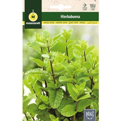 M MASCARELL SEMILLAS DESDE 1920 Mascarell Semillas, MENTHE POIVRÉE, Graines d'Herbes Aromatiques à Planter, Créez Votre Propre Potager à la Maison, 0,2 Grammes - Publicité M MASCARELL SEMILLAS DESDE 1920 Mascarell Semillas, MENTHE POIVRÉE, Graines d'Herbes Aromatiques à Planter, Créez Votre Propre Potager à la Maison, 0,2 Grammes - Publicité