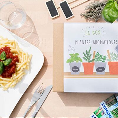 Cultiversonjardin.fr Coffret Cadeau de Jardinage // Box de Jardinage Plantes Aromatiques - Publicité Cultiversonjardin.fr Coffret Cadeau de Jardinage // Box de Jardinage Plantes Aromatiques - Publicité