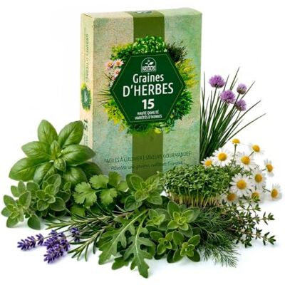 Nojaus Sėklos Nojaus Seklos Lot de 15 graines d'herbes aromatiques de qualité supérieure, pour une utilisation en intérieur et en extérieur - Publicité Nojaus Sėklos Nojaus Seklos Lot de 15 graines d'herbes aromatiques de qualité supérieure, pour une utilisation en intérieur et en extérieur - Publicité