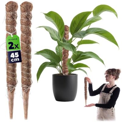 KADAX Monstera Lot de 2 tuteurs en fibre de coco (45 cm), tige en coco et bâton de mousse pour plantes d'intérieur, aide à l'escalade et support pour plantes d'intérieur et d'extérieur - Publicité KADAX Monstera Lot de 2 tuteurs en fibre de coco (45 cm), tige en coco et bâton de mousse pour plantes d'intérieur, aide à l'escalade et support pour plantes d'intérieur et d'extérieur - Publicité
