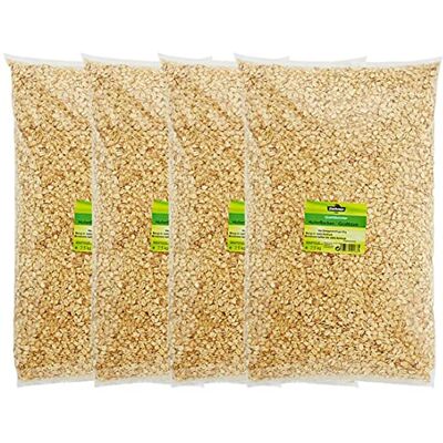 Dehner Grosse Feuille d'avoine pour Oiseaux Sauvages 4 x 2,5 kg (10 kg) - Publicité Dehner Grosse Feuille d'avoine pour Oiseaux Sauvages 4 x 2,5 kg (10 kg) - Publicité