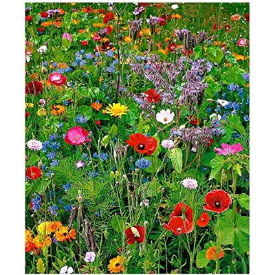 elle&lui Lot de 100 graines de Fleurs sauvages en mélange annuelles et vivaces - Publicité elle&lui Lot de 100 graines de Fleurs sauvages en mélange annuelles et vivaces - Publicité