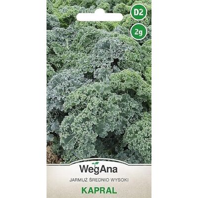 WegAna Chou vert Kapral 2g, Graines de légumes robustes, graines de légumes, graines de culture - Publicité WegAna Chou vert Kapral 2g, Graines de légumes robustes, graines de légumes, graines de culture - Publicité