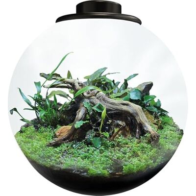 Pot de plante BioArt Modèle 225 - Planter intelligent avec LED et refroidissement - Publicité Pot de plante BioArt Modèle 225 - Planter intelligent avec LED et refroidissement - Publicité