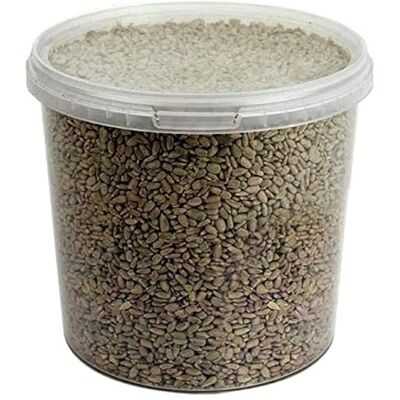 GardenersDream Graines de Tournesol Graines de Qualité Supérieure pour la Boulangerie d'Aliments Sauvages pour Oiseaux (2.5L) - Publicité GardenersDream Graines de Tournesol Graines de Qualité Supérieure pour la Boulangerie d'Aliments Sauvages pour Oiseaux (2.5L) - Publicité