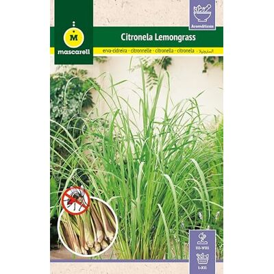 M MASCARELL SEMILLAS DESDE 1920 Mascarell Semillas, CITRONELLE (LEMONGRASS), Graines d'Herbes Aromatiques à Planter, Anti Moustique, Créez Votre Propre Potager à la Maison, 0,1 Grammes - Publicité M MASCARELL SEMILLAS DESDE 1920 Mascarell Semillas, CITRONELLE (LEMONGRASS), Graines d'Herbes Aromatiques à Planter, Anti Moustique, Créez Votre Propre Potager à la Maison, 0,1 Grammes - Publicité