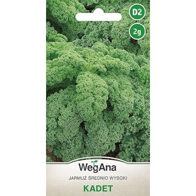 WegAna Chou vert Kadet 2g, Graines de légumes robustes, graines de légumes, graines de culture - Publicité WegAna Chou vert Kadet 2g, Graines de légumes robustes, graines de légumes, graines de culture - Publicité