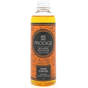 PROVENCE DIFFUSION GENERALE RECHARGE diffuseur de parfum TERRE D'EPICES (cannelle orange) - Publicité PROVENCE DIFFUSION GENERALE RECHARGE diffuseur de parfum TERRE D'EPICES (cannelle orange) - Publicité