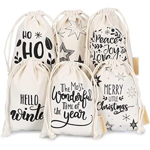 Papierdrachen Lot de 6 sacs de Noël Dimensions Lot de 1. Publicité Papierdrachen Lot de 6 sacs de Noël Dimensions Lot de 1. Publicité