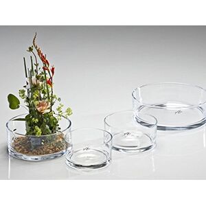 Sandra Rich Bol Rond à Fond Plat en Verre, Ø14 cm x 7.5 cm - Publicité Sandra Rich Bol Rond à Fond Plat en Verre, Ø14 cm x 7.5 cm - Publicité