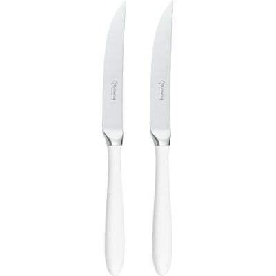 Rio Yin and Yang Lot de 2 couteaux à steak de luxe en acier inoxydable 18/10 – poignées en blanche, plastique PBT - Publicité Rio Yin and Yang Lot de 2 couteaux à steak de luxe en acier inoxydable 18/10 – poignées en blanche, plastique PBT - Publicité