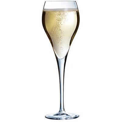 Arcoroc Flûte à champagne 16 cl Brio - Publicité Arcoroc Flûte à champagne 16 cl Brio - Publicité
