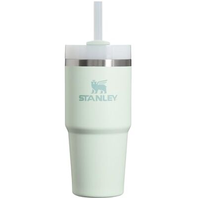 Stanley Quencher H2.0 FlowState Gobelet isotherme en acier inoxydable avec couvercle et paille pour eau, thé glacé ou café, smoothie et plus encore, 414 ml - Publicité Stanley Quencher H2.0 FlowState Gobelet isotherme en acier inoxydable avec couvercle et paille pour eau, thé glacé ou café, smoothie et plus encore, 414 ml - Publicité