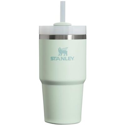 Stanley Quencher H2.0 FlowState Gobelet isotherme en acier inoxydable avec couvercle et paille pour eau, thé glacé ou café, smoothie et plus encore, brume – 591 ml - Publicité Stanley Quencher H2.0 FlowState Gobelet isotherme en acier inoxydable avec couvercle et paille pour eau, thé glacé ou café, smoothie et plus encore, brume – 591 ml - Publicité