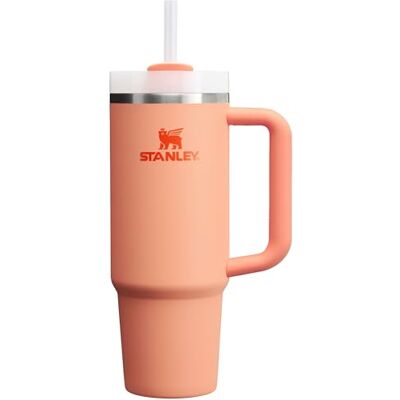 Stanley Quencher H2.O FlowState™ Verre à nectarine 880 ml - Publicité Stanley Quencher H2.O FlowState™ Verre à nectarine 880 ml - Publicité