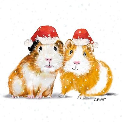 PPD Lot de 20 serviettes de table en papier Motif hamster avec bonnet de Noël 33 x 33 cm - Publicité PPD Lot de 20 serviettes de table en papier Motif hamster avec bonnet de Noël 33 x 33 cm - Publicité