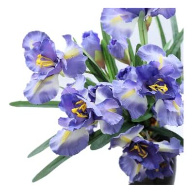 Rikyo Lot de 3 fleurs d'iris artificielles en soie de 91,4 cm 9 têtes Bouquet de fleurs longues Fleurs artificielles pour de vraies fleurs fond de mariage,centre de table- Centre de table (bleu) - Publicité Rikyo Lot de 3 fleurs d'iris artificielles en soie de 91,4 cm 9 têtes Bouquet de fleurs longues Fleurs artificielles pour de vraies fleurs fond de mariage,centre de table- Centre de table (bleu) - Publicité