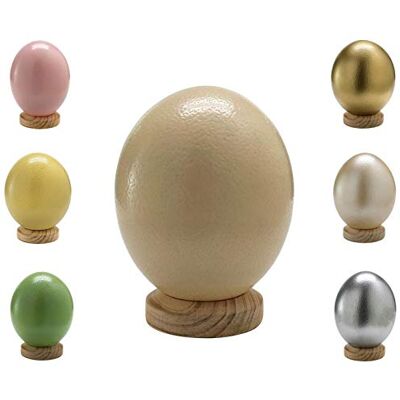 Klocke Dekorationsbedarf Œuf d'autruche sud-africain naturel, de qualité supérieure, 1 pièce (sans pied), vide, soufflé, purifié, naturel (blanc ivoire) - Publicité Klocke Dekorationsbedarf Œuf d'autruche sud-africain naturel, de qualité supérieure, 1 pièce (sans pied), vide, soufflé, purifié, naturel (blanc ivoire) - Publicité