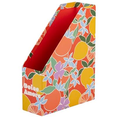 Clairefontaine 116274C Un Porte-Revue en Carton Décor Agrumes Aux Couleurs Acidulées 25x10x32,5cm Home Office Finition Papier Satiné Collection Dolce Amore - Publicité Clairefontaine 116274C Un Porte-Revue en Carton Décor Agrumes Aux Couleurs Acidulées 25x10x32,5cm Home Office Finition Papier Satiné Collection Dolce Amore - Publicité