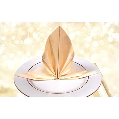 PLUS 100 SERVIETTES DE TABLE EN PAPIER JETABLES AIRLAID LOT DE 2 PAQUETS DE 50 SERVIETTES MOTIFS ÉTOILE BEIGE STELLA CHAMPAGNE 40x40 CM - Publicité PLUS 100 SERVIETTES DE TABLE EN PAPIER JETABLES AIRLAID LOT DE 2 PAQUETS DE 50 SERVIETTES MOTIFS ÉTOILE BEIGE STELLA CHAMPAGNE 40x40 CM - Publicité
