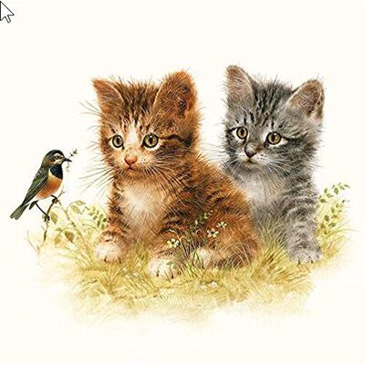 NOASR Lot de 20 serviettes de table en forme de chats d'accès pour les amoureux des animaux 33 x 33 cm - Publicité NOASR Lot de 20 serviettes de table en forme de chats d'accès pour les amoureux des animaux 33 x 33 cm - Publicité