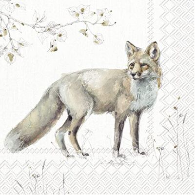 IHR Ideal Home Range Boston International IHR – Lot de 20 serviettes en papier 3 plis pour l'automne, Halloween, Thanksgiving, motif renard des bois - Publicité IHR Ideal Home Range Boston International IHR – Lot de 20 serviettes en papier 3 plis pour l'automne, Halloween, Thanksgiving, motif renard des bois - Publicité