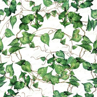 ti-flair Lot de 20 serviettes de table en feuilles de lierre naturel lierre plante décoration de table découpage technique de serviette 33 x 33 cm - Publicité ti-flair Lot de 20 serviettes de table en feuilles de lierre naturel lierre plante décoration de table découpage technique de serviette 33 x 33 cm - Publicité