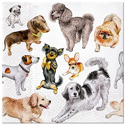 Servietten Tiere QIDUHUQI Lot de 20 serviettes de table de races de chiens Motifs animaux Animaux Caniche Retriever teckels Décoration de table 33 x 33 cm - Publicité Servietten Tiere QIDUHUQI Lot de 20 serviettes de table de races de chiens Motifs animaux Animaux Caniche Retriever teckels Décoration de table 33 x 33 cm - Publicité