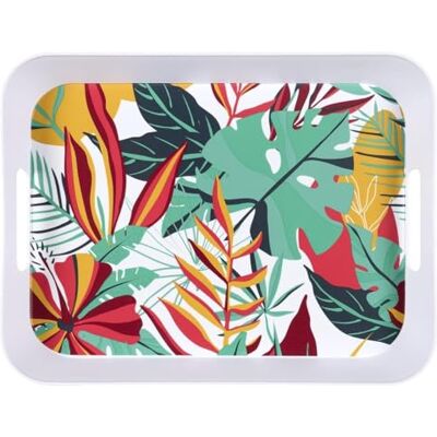 AltoBuy Plateau en Plastique Paradis Exotique (41x32cm) Antilles - Publicité AltoBuy Plateau en Plastique Paradis Exotique (41x32cm) Antilles - Publicité