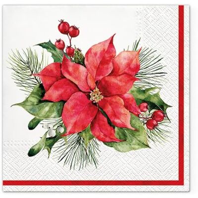 Malagro Lot de 20 serviettes de table en papier avec motif étoile de Noël 33 x 33 cm - Publicité Malagro Lot de 20 serviettes de table en papier avec motif étoile de Noël 33 x 33 cm - Publicité