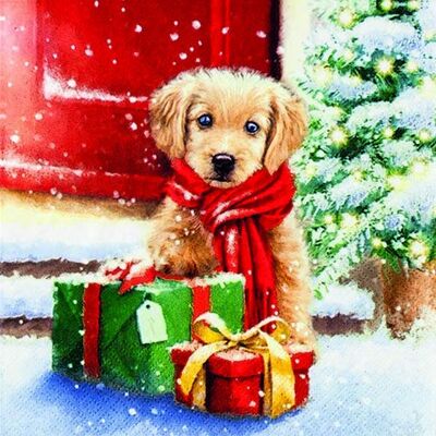 Servietten Weihnachten Lot de 20 serviettes de table motif chien aux cadeaux Animaux Noël 33 x 33 cm - Publicité Servietten Weihnachten Lot de 20 serviettes de table motif chien aux cadeaux Animaux Noël 33 x 33 cm - Publicité