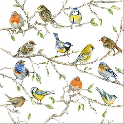 Ambiente Lot de 20 serviettes de table Motif oiseaux 33 cm - Publicité Ambiente Lot de 20 serviettes de table Motif oiseaux 33 cm - Publicité