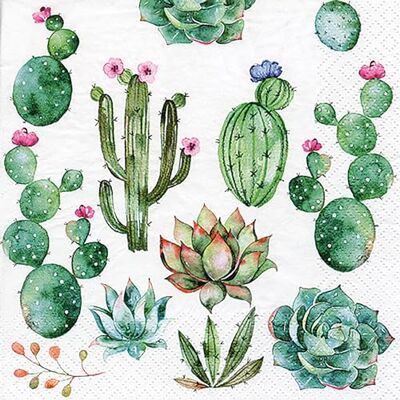 ti-flair ti flair Serviettes en papier 33x33cm 3 épaisseurs 20 pièces avec motif oiseau haute qualité et durable serviettes jetables à motif serviettes d'anniversaire serviettes en papier cactus et plantes su - Publicité ti-flair ti flair Serviettes en papier 33x33cm 3 épaisseurs 20 pièces avec motif oiseau haute qualité et durable serviettes jetables à motif serviettes d'anniversaire serviettes en papier cactus et plantes su - Publicité
