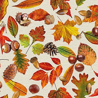 Serviettenshop Servietten Herbst Lot de 20 serviettes de table Motif feuilles d'automne Naturel Automne 33 x 33 cm - Publicité Serviettenshop Servietten Herbst Lot de 20 serviettes de table Motif feuilles d'automne Naturel Automne 33 x 33 cm - Publicité