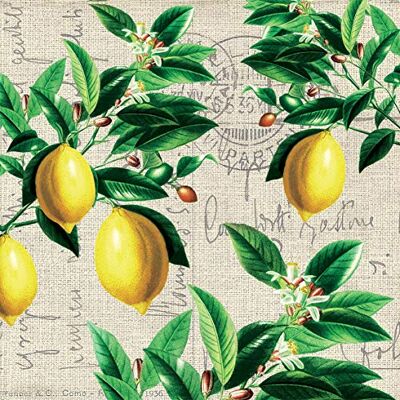 Setita Lot de 20 Serviettes de Table Capri Vintage Citron sur arbuste 33 cm - Publicité Setita Lot de 20 Serviettes de Table Capri Vintage Citron sur arbuste 33 cm - Publicité