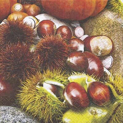 Serviettenshop Lot de 20 serviettes Maroni – Châtaigne/automne/fruits 33 x 33 cm - Publicité Serviettenshop Lot de 20 serviettes Maroni – Châtaigne/automne/fruits 33 x 33 cm - Publicité