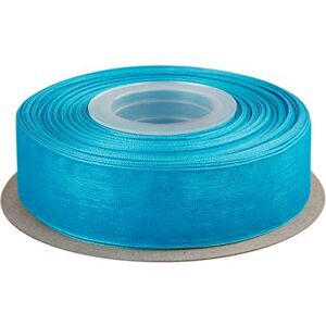 Ribbonitlux Ruban Organza Transparent 25 mm, Ruban Chiffon Turquoise Nacré 45M/Rouleau, Idéal pour Mariage, Événements, Décoration de Noël, Création de Bouquets et Loisirs Créatifs - Publicité Ribbonitlux Ruban Organza Transparent 25 mm, Ruban Chiffon Turquoise Nacré 45M/Rouleau, Idéal pour Mariage, Événements, Décoration de Noël, Création de Bouquets et Loisirs Créatifs - Publicité