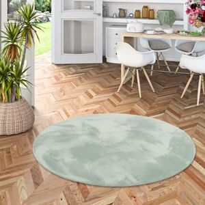 Pergamon Pearl Tapis de Luxe en Fourrure synthétique Super Douce Vert Rond 3 Tailles - Publicité Pergamon Pearl Tapis de Luxe en Fourrure synthétique Super Douce Vert Rond 3 Tailles - Publicité
