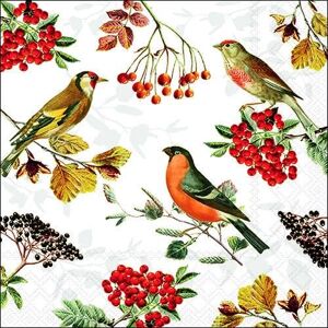 Ambiente Lot de 20 serviettes en papier avec motif oiseaux sur branches avec bords Convient également pour le découpage et la technique des serviettes 33 x 33 cm - Publicité Ambiente Lot de 20 serviettes en papier avec motif oiseaux sur branches avec bords Convient également pour le découpage et la technique des serviettes 33 x 33 cm - Publicité