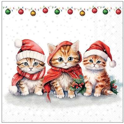 Ambiente Serviette de table Chatons de Noël, 33 x 33 cm, 20 pièces, idéal pour la décoration de table, les fêtes, les festivités - Publicité Ambiente Serviette de table Chatons de Noël, 33 x 33 cm, 20 pièces, idéal pour la décoration de table, les fêtes, les festivités - Publicité