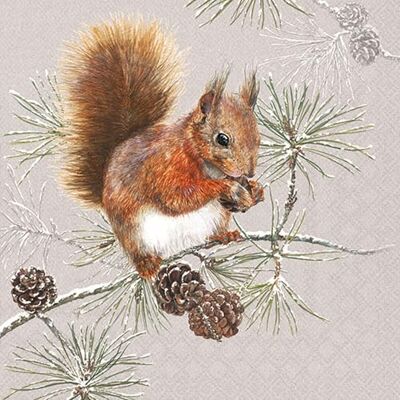 Ambiente Serviette 33 cm écureuil en Hiver Lot de 20 - Publicité Ambiente Serviette 33 cm écureuil en Hiver Lot de 20 - Publicité