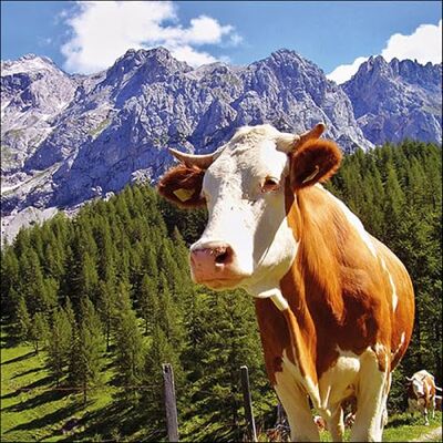 Ambiente serviette motif : Alpes Vache 20 Serviettes Par Paquet, 33x33 cm - Publicité Ambiente serviette motif : Alpes Vache 20 Serviettes Par Paquet, 33x33 cm - Publicité