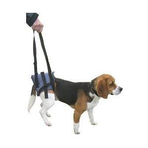 Main Secourable Handy Canis pour Chiens - Harnais Grand - Publicité Main Secourable Handy Canis pour Chiens - Harnais Grand - Publicité