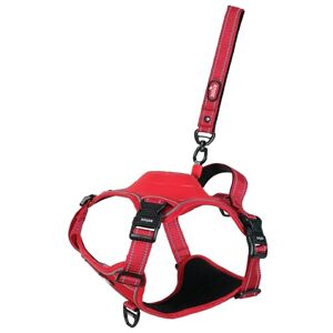 Zolux Harnais Easy Ride avec Laisse Intégrée 1,30 m avec Enrouleur -Taille M Rouge Chien 16–33 kg Bandes Réfléchissantes Système Stop Boucles Rapides Réglable -Tissu Confort Respirant - Publicité Zolux Harnais Easy Ride avec Laisse Intégrée 1,30 m avec Enrouleur -Taille M Rouge Chien 16–33 kg Bandes Réfléchissantes Système Stop Boucles Rapides Réglable -Tissu Confort Respirant - Publicité