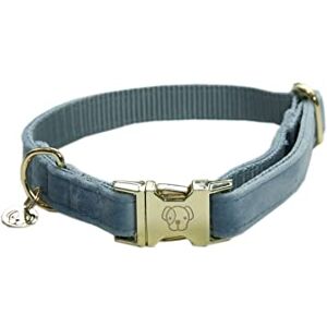 Kentucky Dogwear M Collier pour Chien Velours Bleu Clair - Accessoire pour Chiens - Publicité Kentucky Dogwear M Collier pour Chien Velours Bleu Clair - Accessoire pour Chiens - Publicité
