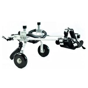 GIADO Fauteuil roulant Portable pour chiens, pour pattes arrière, réglable, léger, outil de marche pour animaux de compagnie - Publicité