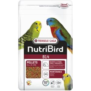 Versele-Laga NutriBird B14 Granulés Extrudés Aliment d'entretien pour Perruche Ondulée et Autres Petite Perruche (800g) - Publicité Versele-Laga NutriBird B14 Granulés Extrudés Aliment d'entretien pour Perruche Ondulée et Autres Petite Perruche (800g) - Publicité