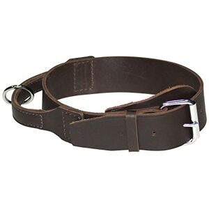 Dingo - SOFT Collier en cuir - 5.0 cm - Marron - Collier pour chien - Publicité Dingo - SOFT Collier en cuir - 5.0 cm - Marron - Collier pour chien - Publicité