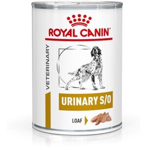 ROYAL CANIN Veterinary Urinary S/O 12 x 410 g Aliment Complet diététique pour Chiens Adultes pour la Dissolution des calculs de Struvite et la réduction des récidives de calculs de Struvite - Publicité ROYAL CANIN Veterinary Urinary S/O 12 x 410 g Aliment Complet diététique pour Chiens Adultes pour la Dissolution des calculs de Struvite et la réduction des récidives de calculs de Struvite - Publicité