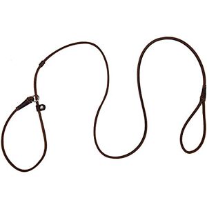 MoSANY Laisse en Cuir véritable pour Chiens de Petite et Moyenne Taille, légère, Fine mais Robuste, réglable, Douce et Fine, 1,5 m x 0,6 cm - Publicité MoSANY Laisse en Cuir véritable pour Chiens de Petite et Moyenne Taille, légère, Fine mais Robuste, réglable, Douce et Fine, 1,5 m x 0,6 cm - Publicité